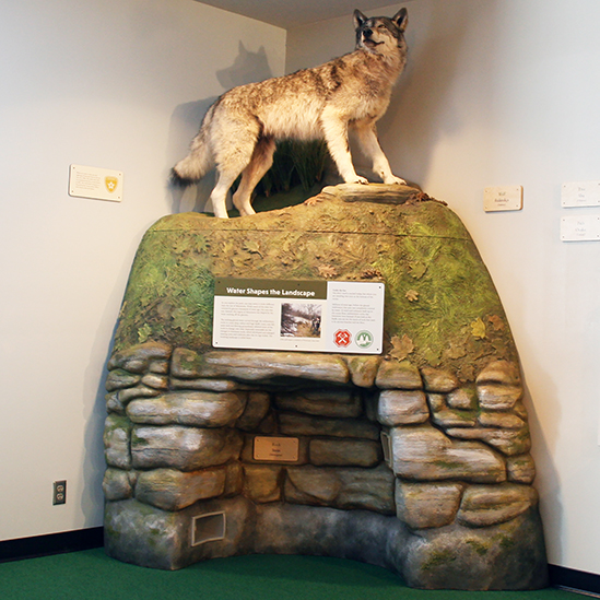 taxidermy wolf on rocks